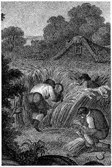 Labourers: Reaping with sickles and binding the sheaves