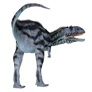 Spiked: Rear view of a Majungasaurus dinosaur on white background