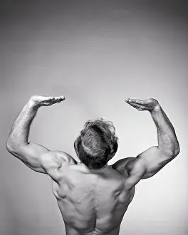 Biceps: Rear View Torso of Body-Builder Arms Raised Above