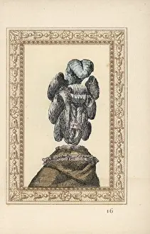 Octave: Rear view of woman's chignon with curls and