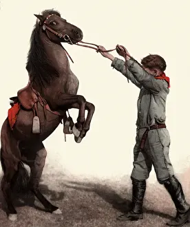 Reared: Rearing Horse and Boy