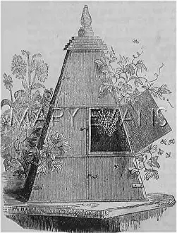 Pyramidal: REAUMUR'S BEEHIVE