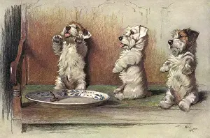 Dogs: For What We Are About to Receive by Cecil Aldin