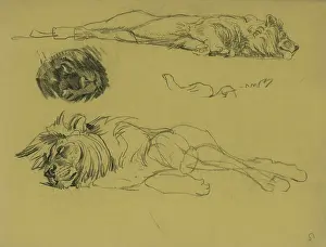 Reclining: Reclining Lion and the head of a Panther
