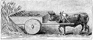 Believed: Reconstruction of Ancient Roman reaping cart