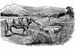 Believed: Reconstruction of Ancient Roman reaping cart