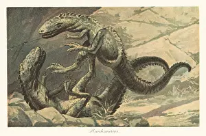 Tyrannosauroid: Reconstruction of two dinosaurs in battle