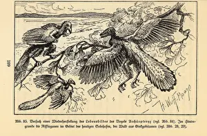 Regalis: Reconstruction of extinct Archaeopteryx birds in a