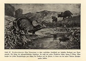 Leben: Reconstruction of an extinct Triceratops
