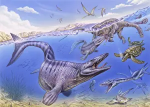 Variation: Reconstruction of the fauna in Lembe's Ocean during