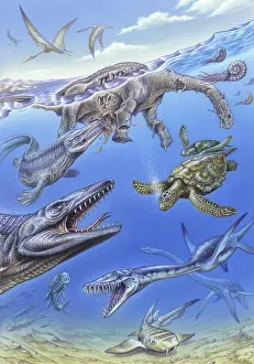 Variation: Reconstruction of the fauna in Lembe's Ocean during
