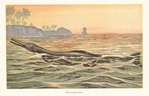 Late Jurassic: Reconstruction of a Geosaurus giganteus