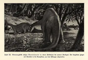 Bolsche: Reconstruction of giant Brontosaurs grazing