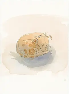 Dobie: Reconstruction illustration