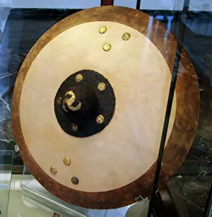 Palatine: Reconstruction of a medieval shield