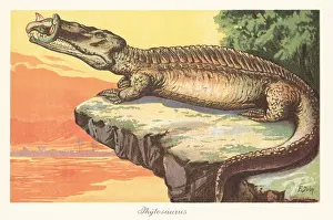 Lungfish: Reconstruction of a Phytosaur with Ceratodus