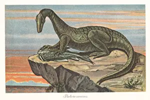 Tiere Der Urwelt: Reconstruction of Protorosaurus speneri and Menaspis armata