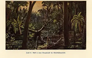 Leben: Reconstruction of a swamp forest in the Carboniferous era