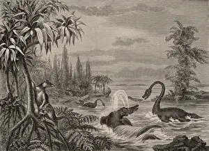 Encyclopaedia: Reconstructions of Ichthyosaurus, Plesiosaurus