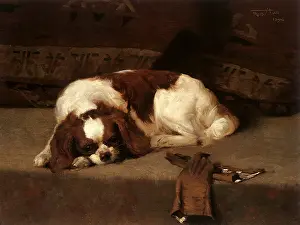 Recumbent: Recumbent King Charles Spaniel