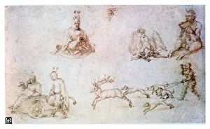 Durer: Red chalk study Artist: Albrecht Durer