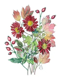 Chrysanthemums: Red Chrysanthemums and Autumn leaves