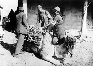 Ottomans: The Red Crescent during the First World War, 1915