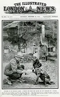 Sentries: Red-cross dog 1915