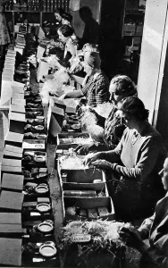 Dispatched: Red Cross food parcels