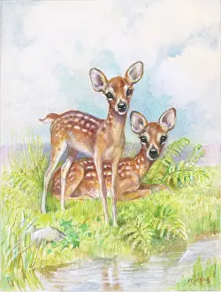 Fawns: Two red deer fawns beside a stream