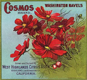 Stalks: Red Flowers on Label
