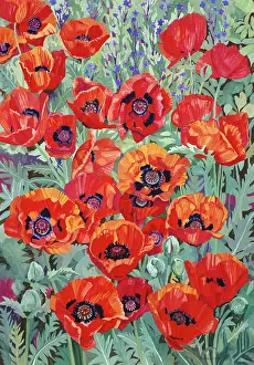Norma: Red and Orange Poppies