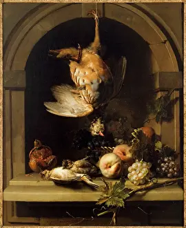 Partridge: Red partridge in a niche