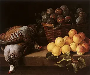 Plum: Red Partridges, Apricots and Basket of Plums