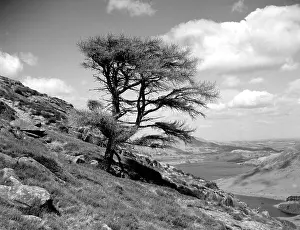 Crummock: Red Pike Mountain, Crummock Water, Lake District, Cumbria
