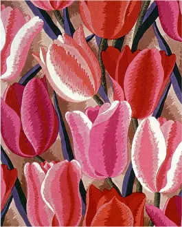 Bulbs: Red and Pink Bulbs