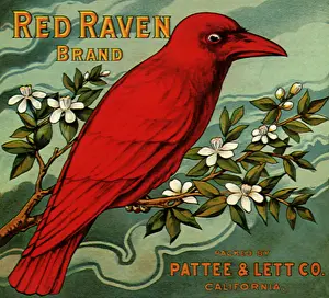 Raven: Red Raven Fruit Label