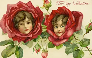 Red rose flower faces