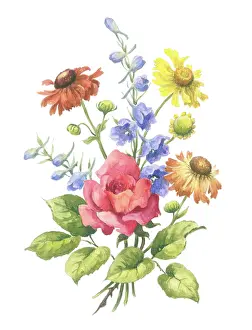Delphinium: Red Rose, haleniums, delphinium