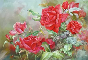 Red Roses