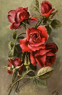 Buds: Red Roses