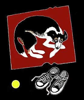 Trainers: Red Rug and Trainers