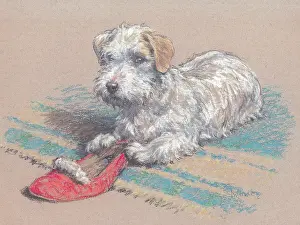 Ambler: The Red Slipper