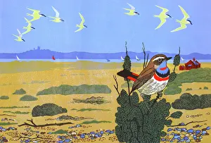 Nov16: Red-spotted Bluethroat, Blakeney Point, North Norfolk