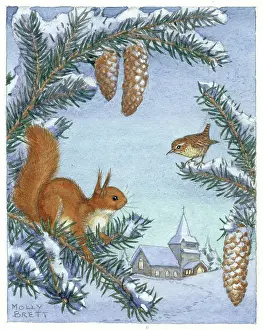 Evenings: A red squirrel and a bird sitting in a pine tree