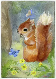 Heda: Red Squirrel with two blue butterflies