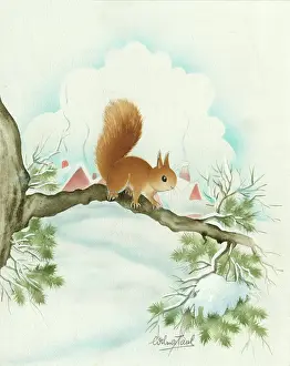 Schermele: Red Squirrel on a Bough in the snow