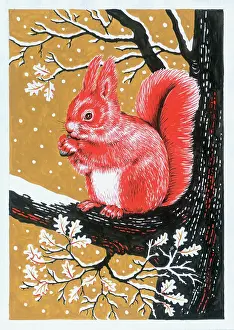 Red Squirrel with a Nut on an Oak Tree