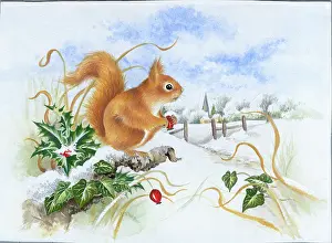 Comerford: Red Squirrel in a Snowy Landscape