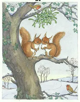 Cosy: Two red squirrels cosy up on a tree branch